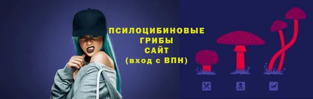 spice Баксан