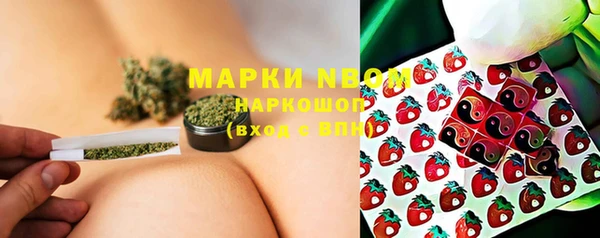 гидра Нязепетровск